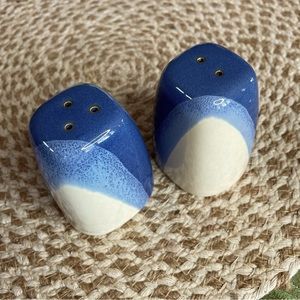 Pfaltzgraff salt and pepper shaker set. Blue Ridge pattern, excellent condition.